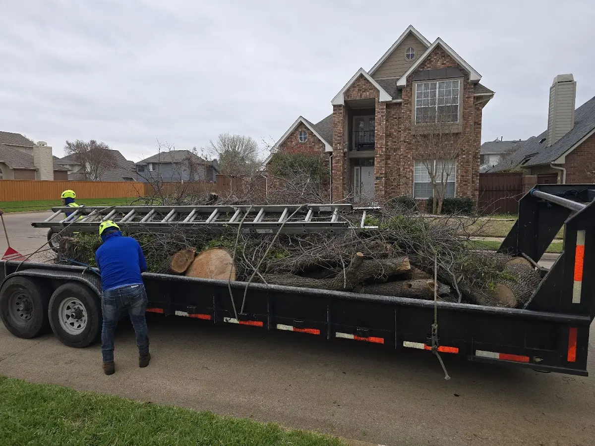 Expert Lot Clearing with proper safety equipment in Maddock